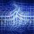 The Hidden Business Value of Reliable Internet